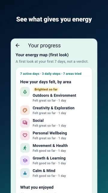 Energy map: how each area of life has felt over the first 7 days.